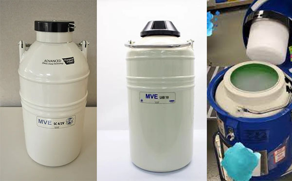 mve液氮罐 mve液氮罐